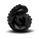 leguano_spinwyn_11.webp