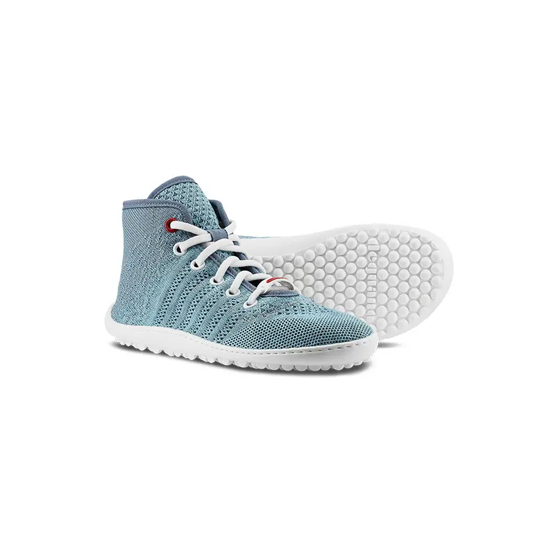 leguanito_go_seablue_03.webp