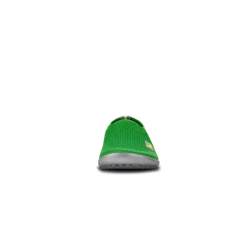 leguanito_scio_green-8.webp